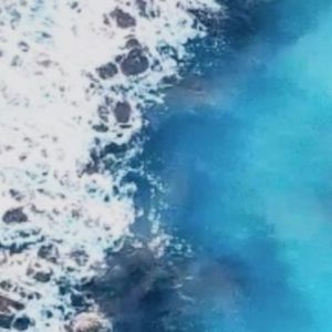 Meet your Posher, Leon